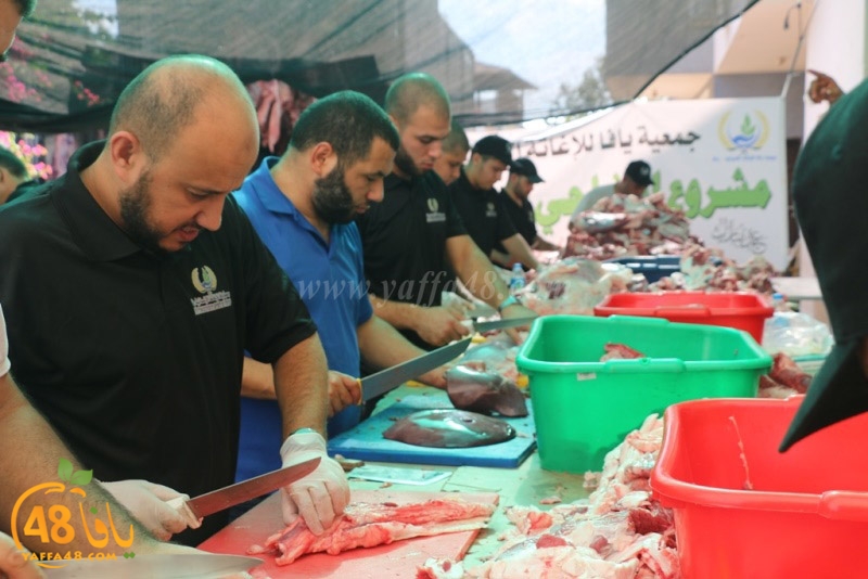 lod8om ada73y (115).JPG